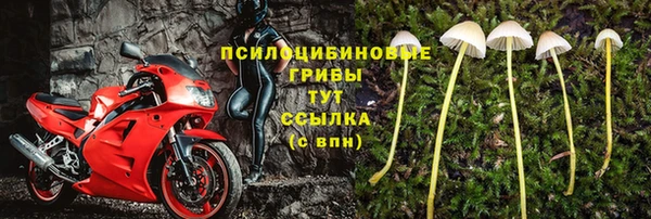 кокс Нея